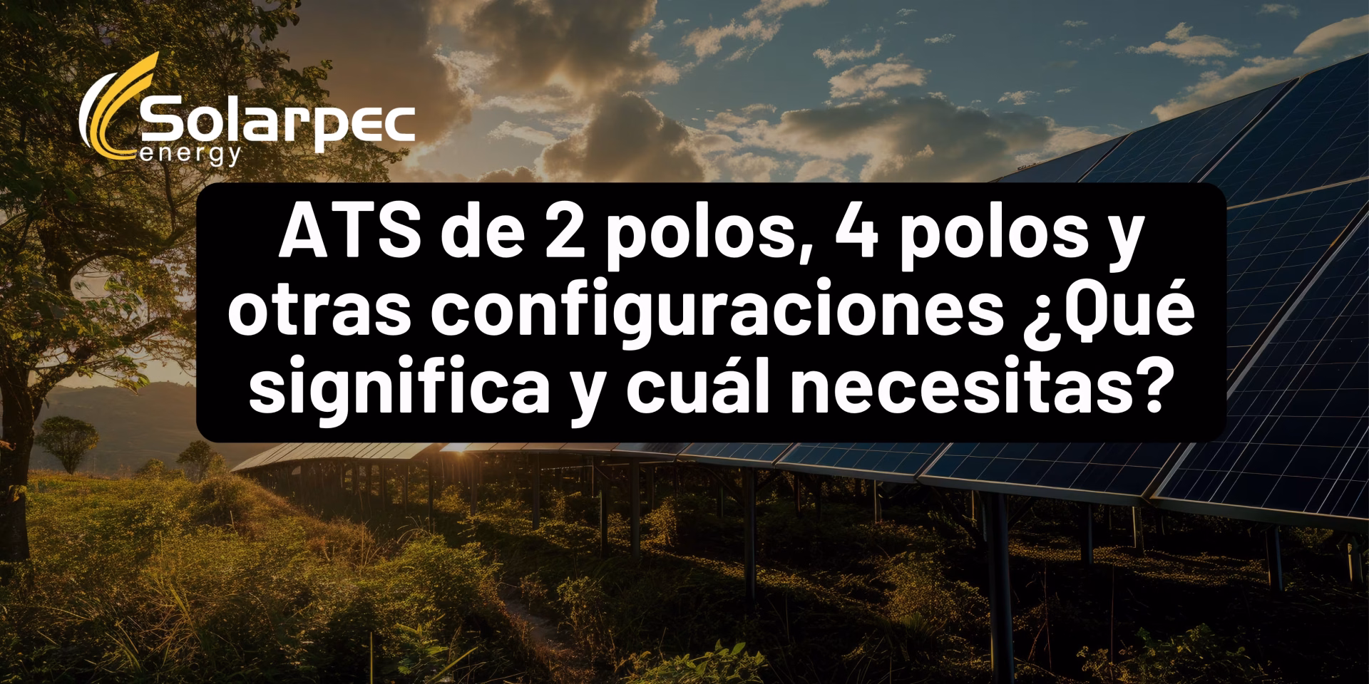 ATS de 2 polos, 4 polos y otras configuraciones ¿Qué significa y cuál necesitas?