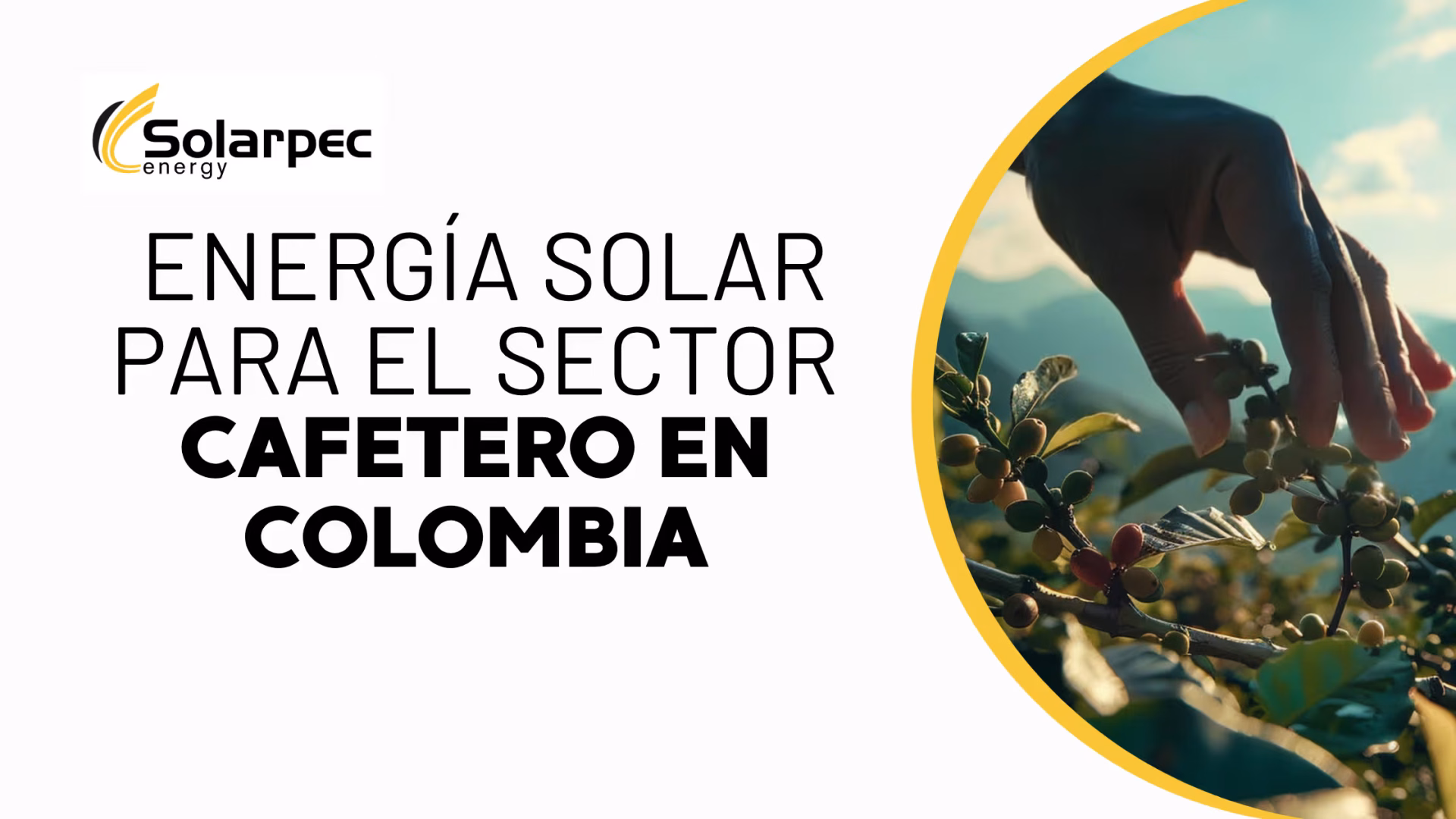 Energía solar para el sector cafetero en Colombia, aplicaciones y ventajas para la producción