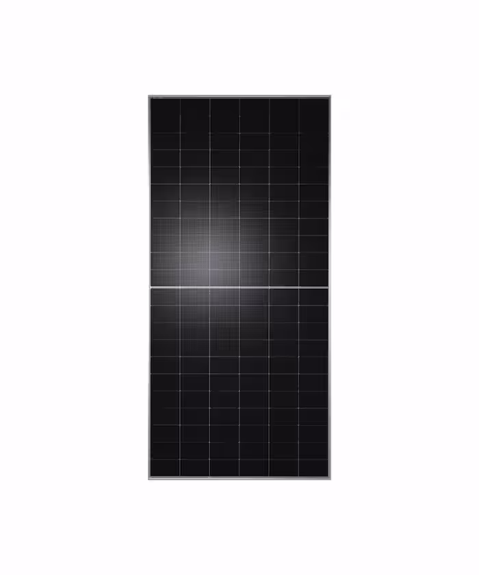 Panel Solar Monocristalino 630W N-Type Bifacial TongWei TWMNH-66630