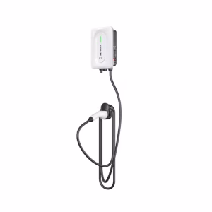 Cargador VE LIVOLTEK Bifasico A0070230E11 7.3kW 220VAC - Imagen 2