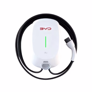 Cargador VE BYD Bifasico ACC02-07E/I50B 7kW 220VAC - Imagen 1